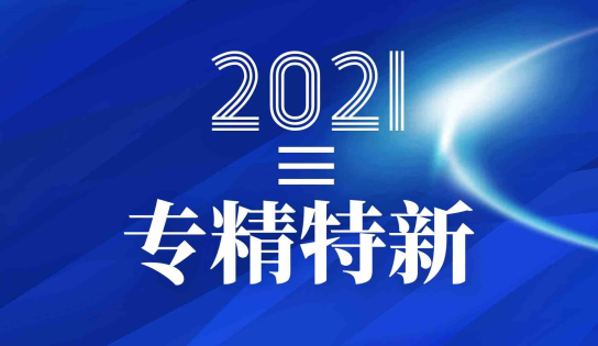 我司荣获浙江省“专精特新”中小企业